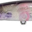 Jackall Squirrel 67 Silent Jerkbait Lure [cl:somerset Wakasagi]