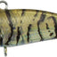 Duo Tetra Works Bivi 40mm Lure [cl:tiger Shrimp]