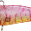 Duo Tetra Works Bivi 40mm Lure [cl:sakura Shrimp]