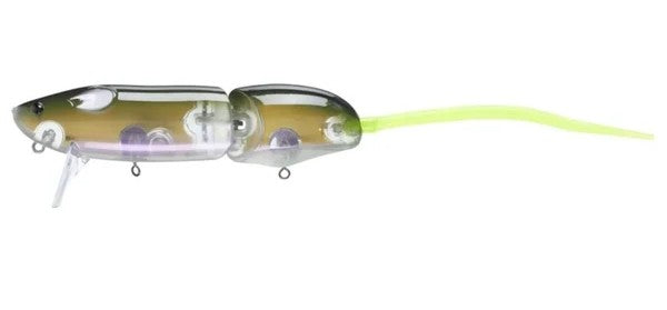 Ever Green Combat Rat 150mm Surface Lure [cl:olive Gold Flash]