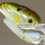 Hideup Hu-300 Diving Lure [cl:#03 Prism Ayu]