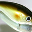 Hideup Hu-200 Diving Lure [cl:#01 Ghost Ayu]