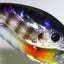 Hideup Hu-200 Diving Lure [cl:#06 Gill]