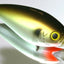 Hideup Hu-200 Diving Lure [cl:#11 Mat Bleed]