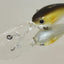 Hideup Hu-400 Diving Lure [cl:#01 Ghost Ayu]