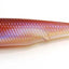 Raid Fish Roller 4 Inch [cl:pearl Wakasagi]