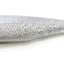 Raid Fish Roller 4 Inch [cl:call White]