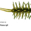Hideup Coike Shrimp Mini Soft Plastic Lure [cl:140 Itasu-gil]