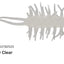 Hideup Coike Shrimp Mini Soft Plastic Lure [cl:149 Clear]