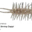 Hideup Coike Shrimp Mini Soft Plastic Lure [cl:242 Shrimp Dappi]