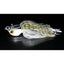 Hot Bite Spectre 1/2oz Jig [cl:baby Bass]