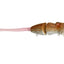 Bucca Baby Bull Rat 3.5 Inch Lure [cl:field Mouse]