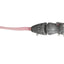 Bucca Baby Bull Rat 3.5 Inch Lure [cl:sewer Rat]