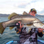 Zerek Live Mullet 5.5 Inch Lure [cl:da - Dark Ale]