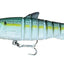 Zerek Live Mullet 5.5 Inch Lure [cl:fh - Flash Herrin]