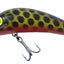 Stumpjumper #2 75mm Lure [cl:#10 Black Carp]