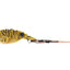 Tt Switchprawn 37mm Metal Vibe Lure [cl:gold Tiger]