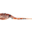 Tt Switchprawn 37mm Metal Vibe Lure [cl:mongrel Tiger]