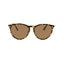 Oxide Polarised Astra Sunglasses [cl:tortoiseshell - Brown Len]