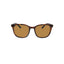 Oxide Polarised Nebularsunglasses [cl:tortoiseshell - Brown Len]