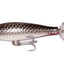 Taylor Made Panicking Popeye Surface Lure [cl:sm Silver Mullet]