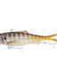 Samaki Vibelicious Fork Tail 125mm Soft Vibe Lure [cl:yakka]
