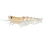 Fishcraft Dr Prawn 3in Unrigged Soft Plastic Lure [cl:gummy Bear]