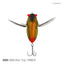Samaki Redic Cicada 42 Lure [cl:hornet]