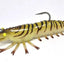 Barambah Stinger Shrimp 125hd [cl:tiger Prawn]