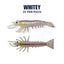 Barambah Stinger Shrimp 125 Unrigged Lure [cl:whitey]