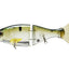 Bucca Trick Shad Swimbait 8 Inch Lure