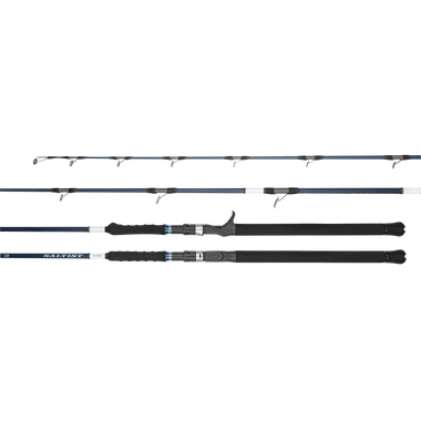 Daiwa 26 Saltist Hyper Overhead Rods