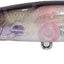 Jackall Squirrel 67 Silent Jerkbait Lure